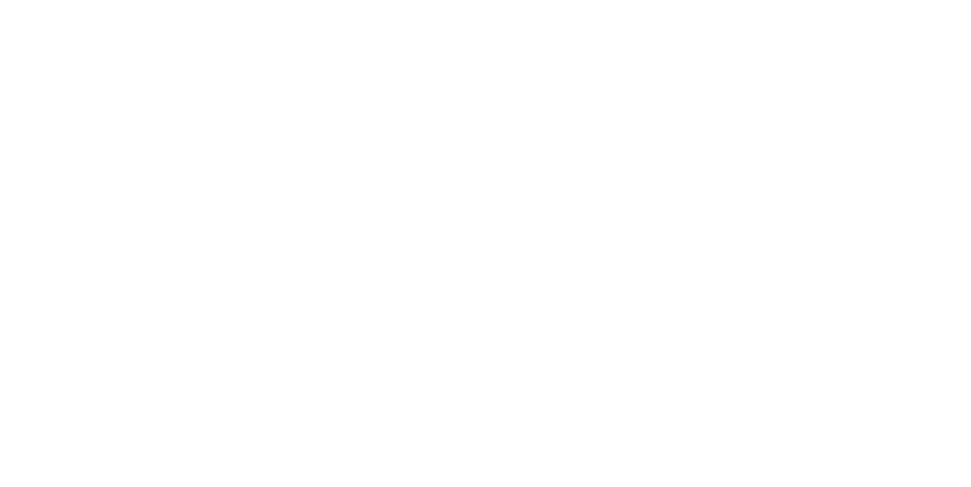 iVizuals Media